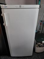 Liebherr diepvries, Ophalen, Zo goed als nieuw, 60 tot 90 cm