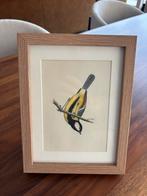 Antieke vogeltekening in houten lijst, Minder dan 50 cm, Nieuw, Ophalen of Verzenden, Minder dan 50 cm