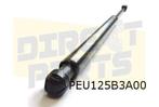 Peugeot 206 (9/98-6/09) SW Gasveer achterruit Links of Recht