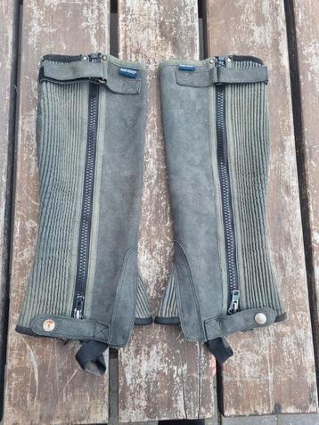 Chaps Harry’s horse  beschikbaar voor biedingen