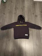 Trui Ballin Amsterdam 140, Trui of Vest, Ophalen of Verzenden, Zo goed als nieuw, Ballin