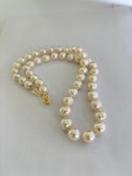 Bloedmooie Parel Ketting met Witte Akoya Parels 14K Goud, Ophalen of Verzenden, Nieuw, Goud