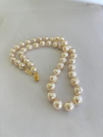 Bloedmooie Parel Ketting met Witte Akoya Parels 14K Goud beschikbaar voor biedingen