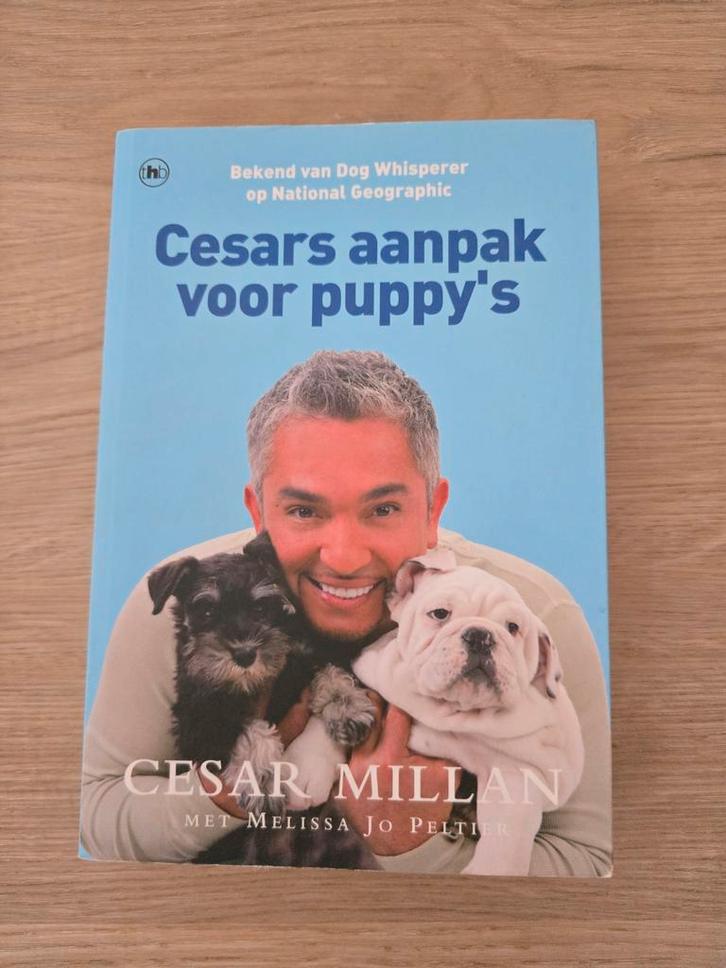 Cesar Millan - Cesars aanpak voor puppy's, Boeken, Dieren en Huisdieren, Zo goed als nieuw, Honden, Ophalen of Verzenden