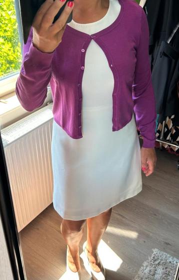 Paarse gilet Talking French beschikbaar voor biedingen