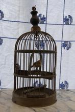Vogelkooi    (Antiek, Antiek en Kunst, Ophalen of Verzenden