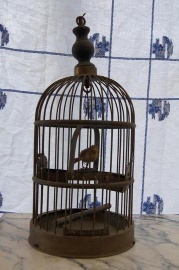 Vogelkooi    (Antiek beschikbaar voor biedingen