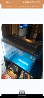 Aquarium 70L, Dieren en Toebehoren, Vissen | Aquaria en Toebehoren, Ophalen, Gebruikt, Leeg aquarium