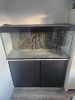 Aquarium, Dieren en Toebehoren, Vissen | Aquaria en Toebehoren, Ophalen, Leeg aquarium