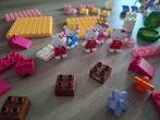Duplo Hello Kitty, Kinderen en Baby's, Speelgoed | Duplo en Lego, Ophalen of Verzenden, Gebruikt, Losse stenen, Duplo