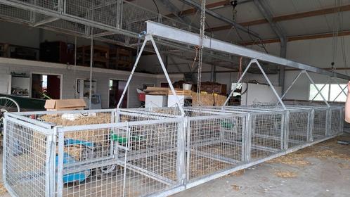 TE KOOP: OPTAKELBARE KRAAMHOKKEN SCHAAP, Dieren en Toebehoren, Schapen, Geiten en Varkens, Schaap, Vrouwelijk