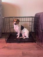 Honden bench, Dieren en Toebehoren, Hondenhokken, Ophalen, Gebruikt, Minder dan 75 cm, Minder dan 65 cm