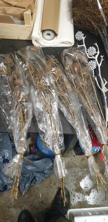 Decoratieve takken en dennenappels beschikbaar voor biedingen