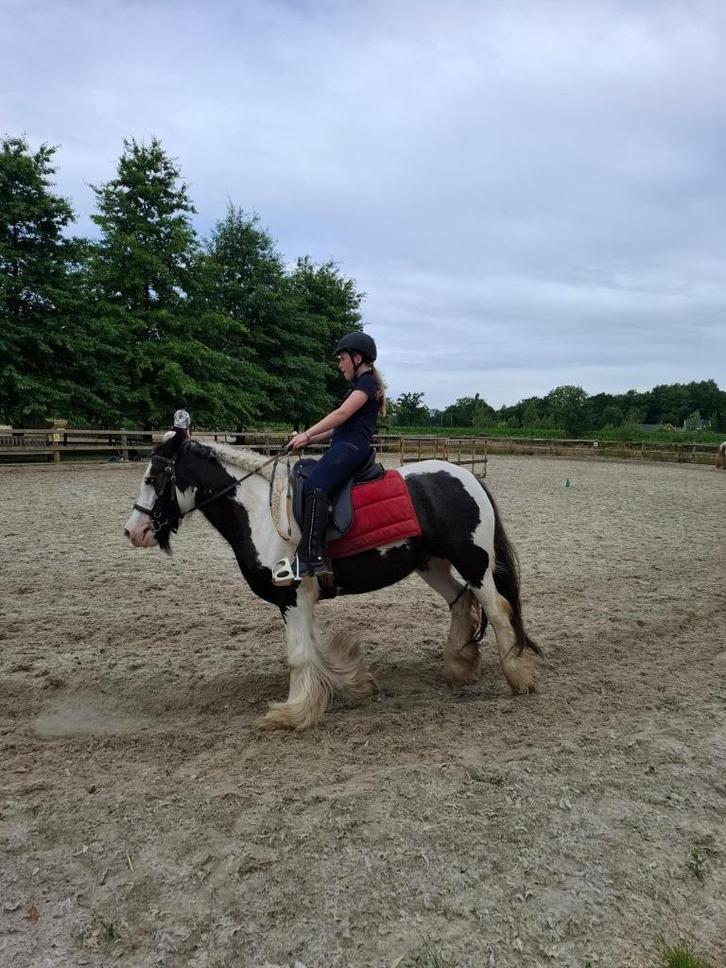 stalhulp aangeboden, Dieren en Toebehoren, Paarden en Pony's | Overige Paardenspullen, Overige soorten, Ophalen of Verzenden