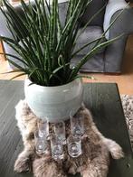 Schitterende handgemaakte glaasjes! Kijk naar de belletjes !, Ophalen of Verzenden, Zo goed als nieuw, Borrel- of Shotglas