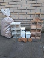 Nestkastje, Meerdere dieren, Kleurkanarie