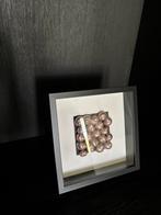 Gaaf lijstje met echte schelpen, Huis en Inrichting, Woonaccessoires | Schilderijen, Tekeningen en Foto's, Ophalen of Verzenden