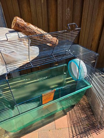 Logeer hok hamster in ruil voor krat hertog jan beschikbaar voor biedingen
