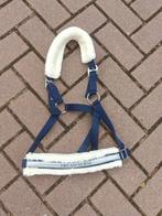 Meerdere Halsters!!, Dieren en Toebehoren, Paarden en Pony's | Hoofdstellen en Tuigage, Ophalen of Verzenden, Zo goed als nieuw