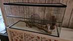 Gerbilarium 100L x 40B x 50H, Ophalen, Hok, Minder dan 60 cm