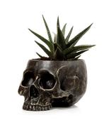 Schedel Bloempot voor Binnen, skull, hobby, kado, man, vrouw, Ophalen of Verzenden, Zo goed als nieuw
