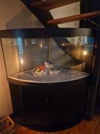 Aquarium juwel 350 te koop!, Ophalen, Zo goed als nieuw, Leeg aquarium
