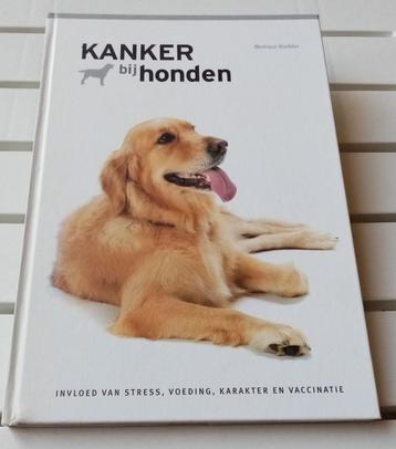 [092] HONDEN > 3 titels (25-7) beschikbaar voor biedingen