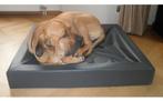 Loungebed Hondenmand voor Honden - Kussen - Hondenbank Mand, Dieren en Toebehoren, Hondenmanden, Nieuw, Ophalen of Verzenden