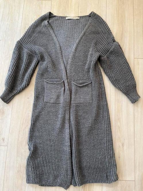 Jutka en Riska vest M L XL, Kleding | Dames, Truien en Vesten, Zo goed als nieuw, Maat 42/44 (L), Grijs, Ophalen of Verzenden