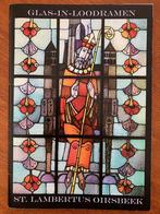 Glas-in-loodramen St. Lambertus Oirschot, Boeken, Kunst en Cultuur | Architectuur, Gelezen, Ophalen of Verzenden, Overige onderwerpen