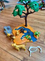 Playmobil Leeuwen Apen en Botten, Ophalen of Verzenden, Zo goed als nieuw