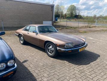 Jaguar XJS 5.3 V12 AUT HE 1985 Bruin beschikbaar voor biedingen