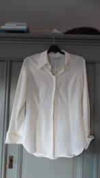 Vanilia creme blouse met lange mouwen, maat L, Kleding | Dames, Verzenden, Vanilia, Beige, Maat 42/44 (L)