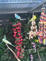 Grasparkieten, Dieren en Toebehoren, Vogels | Toebehoren, Ophalen of Verzenden, Zo goed als nieuw, Kooi-accessoires