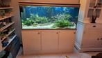 Aqualantis aquarium, Dieren en Toebehoren, Vissen | Aquaria en Toebehoren, Ophalen, Gebruikt, Gevuld zoetwateraquarium