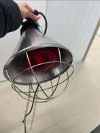 Philips Warmtelamp voor honden werpkist, Dieren en Toebehoren, Honden-accessoires, Ophalen of Verzenden, Zo goed als nieuw
