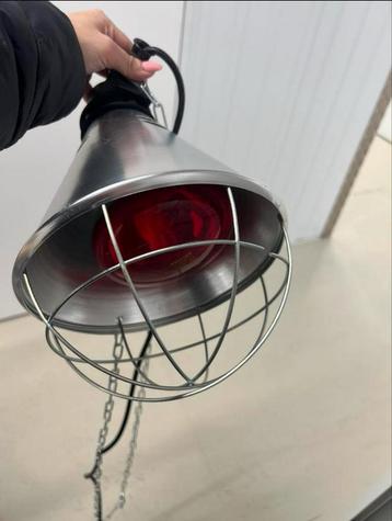 Philips Warmtelamp voor honden werpkist beschikbaar voor biedingen