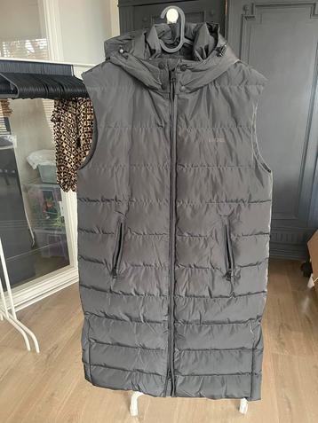 Airforce Bodywarmer Jas Grijs - Maat L beschikbaar voor biedingen