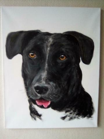Schilderij van uw hond - kat beschikbaar voor biedingen