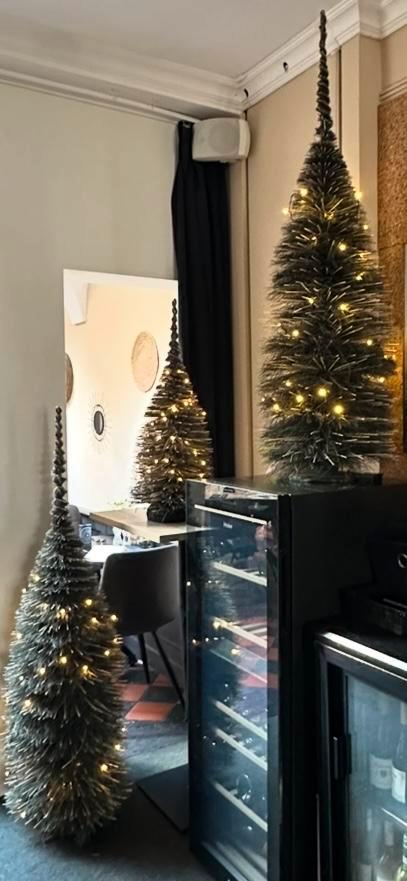 PTMD kerstbomen/kerstboompjes 3 stuks, Diversen, Kerst, Gebruikt, Ophalen