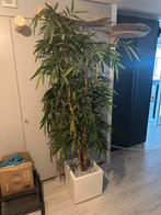 Bamboe bamboo nepplant kunstplant plant 230cm, Ophalen, Gebruikt, Binnen