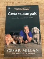 Cesar Millan - Cesars Aanpak, Boeken, Dieren en Huisdieren, Ophalen of Verzenden, Zo goed als nieuw