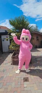 Mascotte verhuur, Hobby en Vrije tijd, Ophalen of Verzenden, Nieuw