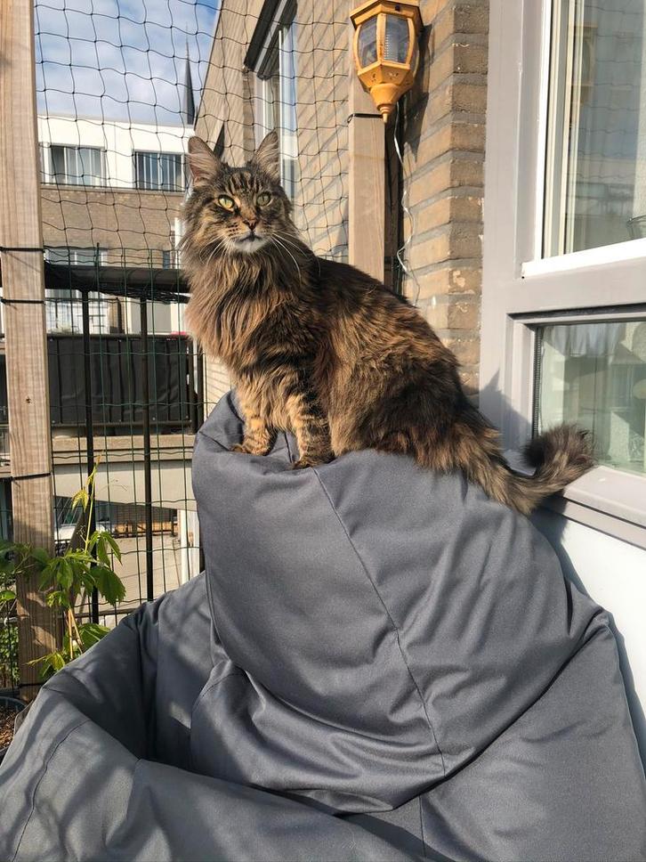 LC/ Whoober zitzak, Huis en Inrichting, Zitzakken, Zo goed als nieuw, Grijs, Ophalen