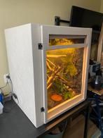 Prachtig natuurlijk-terrarium - 66x59x77 cm  (excl. reptiel), Dieren en Toebehoren, Ophalen, Zo goed als nieuw