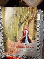 Boudewijn de groot Een nieuwe herfst, Ophalen of Verzenden, Zo goed als nieuw, Artiest