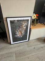 Poster panter 40 bij 60 in zwarte wissellijst 7050, Huis en Inrichting, 50 tot 75 cm, Ophalen of Verzenden, Zo goed als nieuw