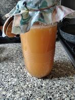 Appelsap Fermenteren tot een zomers drankje!, Ophalen of Verzenden