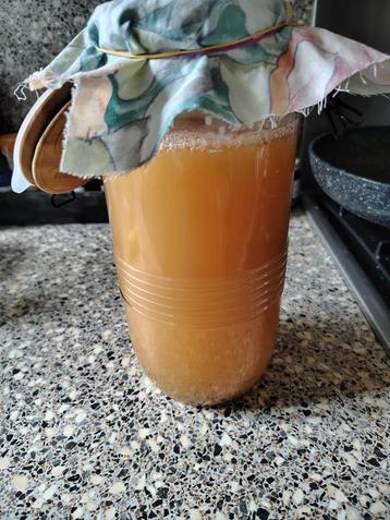 Appelsap Fermenteren tot een zomers drankje! beschikbaar voor biedingen