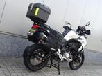 Benelli TRK 502 X (bj 2019), Bedrijf, Toermotor, 500 cc